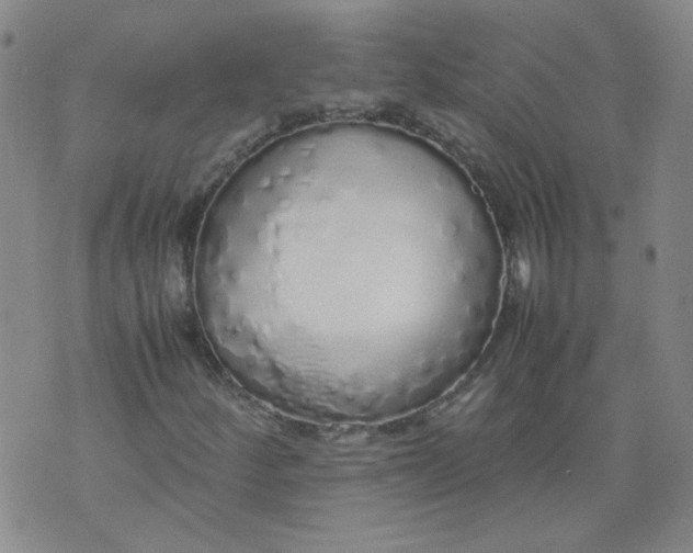 X0000071841252200607211818