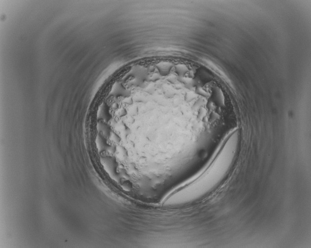 X0000071841283200607211818