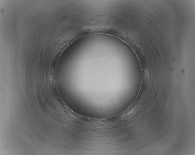 X0000071841300200607211817