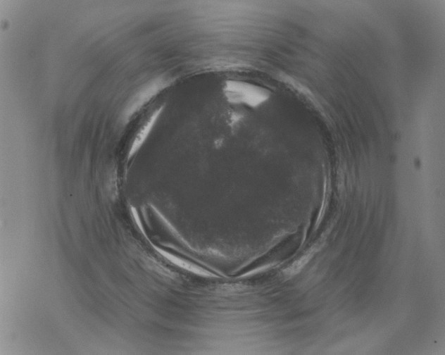 X0000071841306200607211817