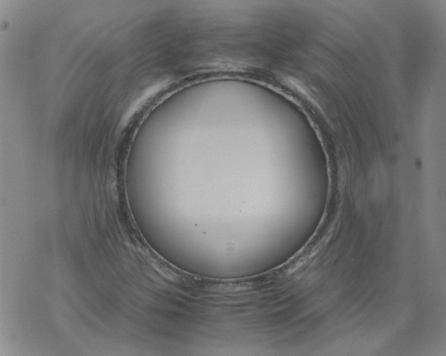 X0000071841307200607211817