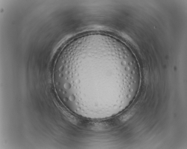 X0000071841318200607211817
