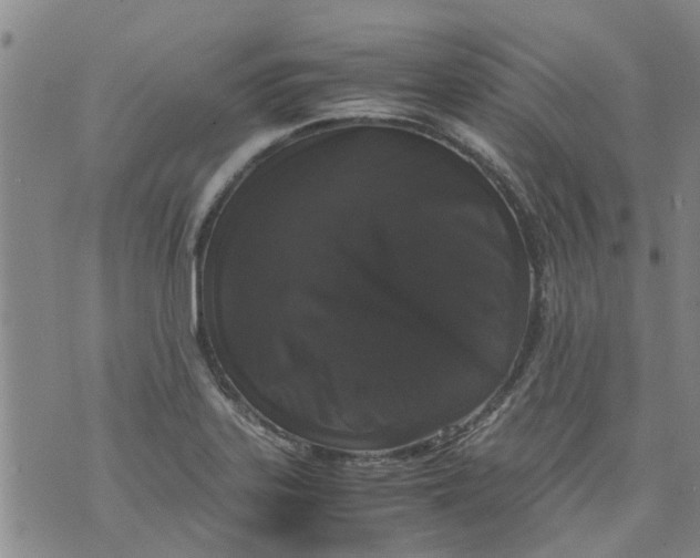 X0000071841323200607211817