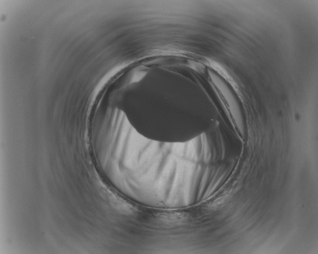X0000071841331200607211817