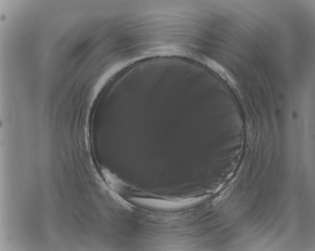 X0000071841334200607211818