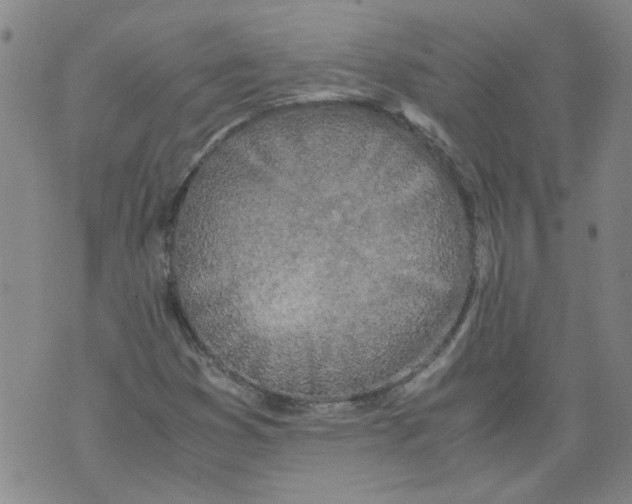 X0000071841353200607211817