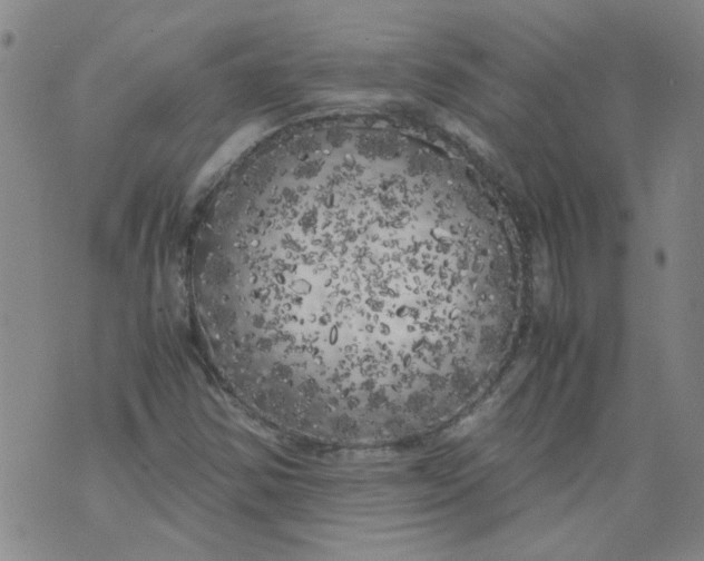 X0000071841354200607211817