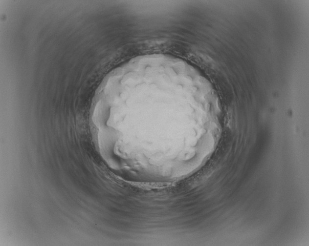 X0000071841395200607211815