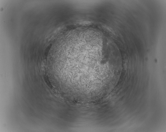 X0000071841397200607211815