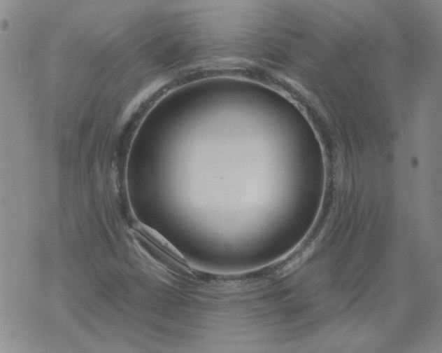 X0000071841402200607211816