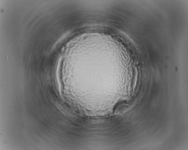 X0000071841403200607211816