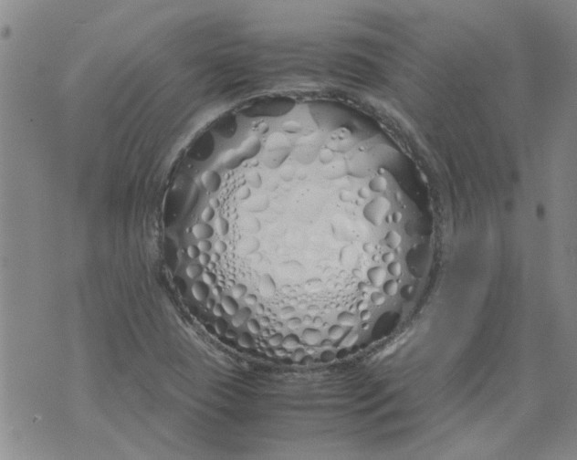 X0000071841409200607211816