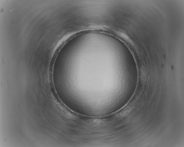 X0000071841412200607211816