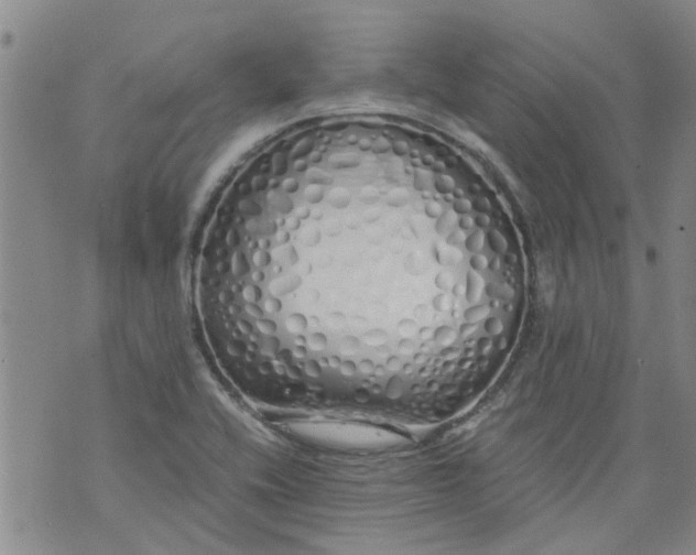 X0000071841416200607211816