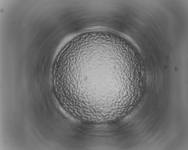 X0000071841421200607211816