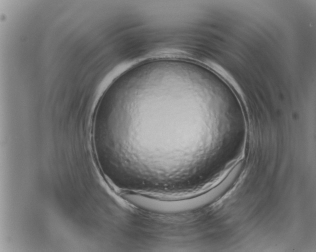 X0000071841437200607211816