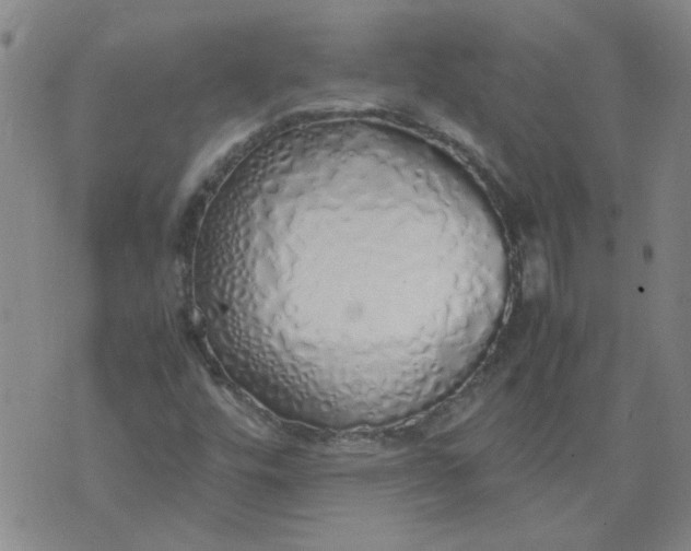 X0000071841448200607211815