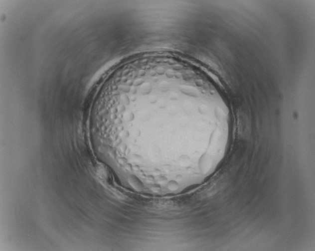 X0000071841452200607211815