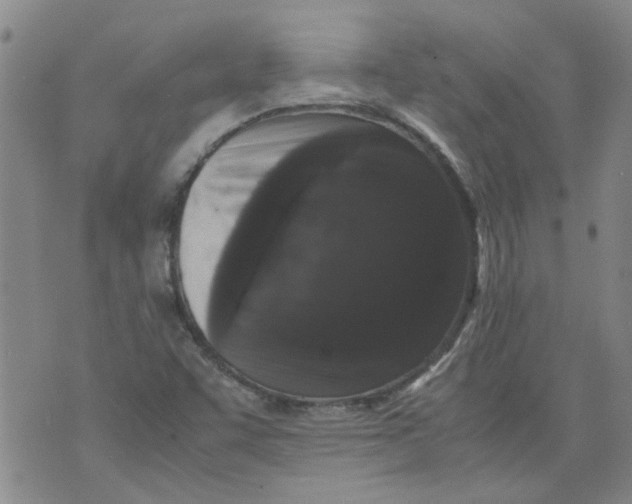 X0000071841455200607211815