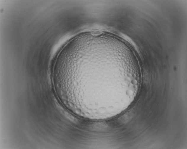 X0000071841464200607211815