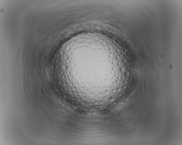 X0000071841490200607211814
