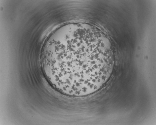 X0000071840002200607290119