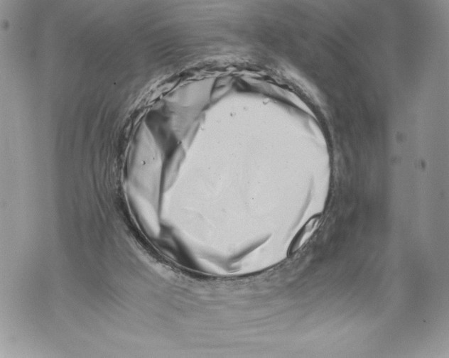 X0000071840009200607290119