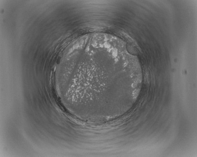 X0000071840026200607290119