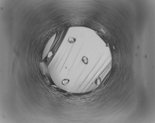 X0000071840029200607290119