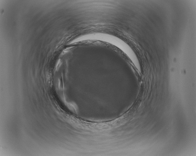 X0000071840031200607290119