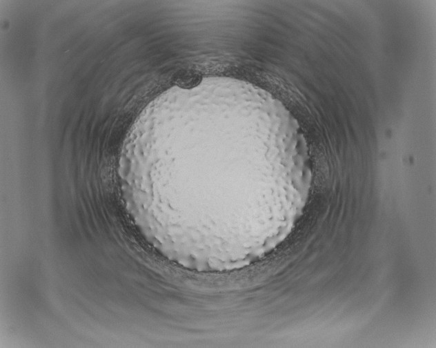 X0000071840034200607290118