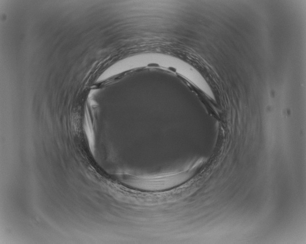 X0000071840035200607290118