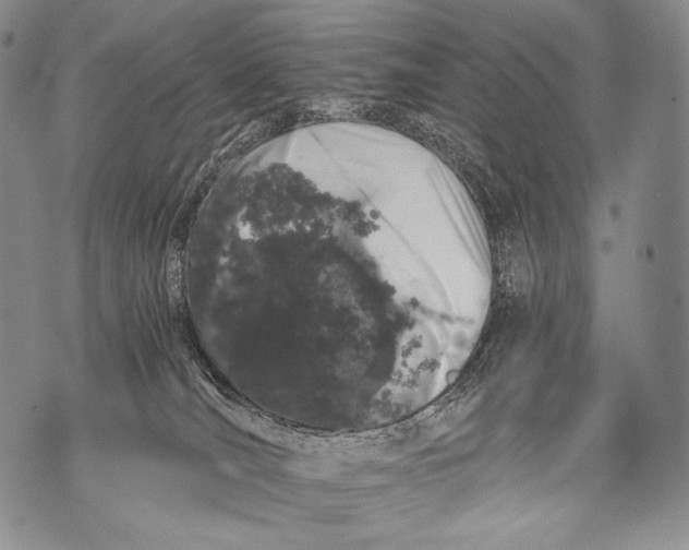 X0000071840036200607290118