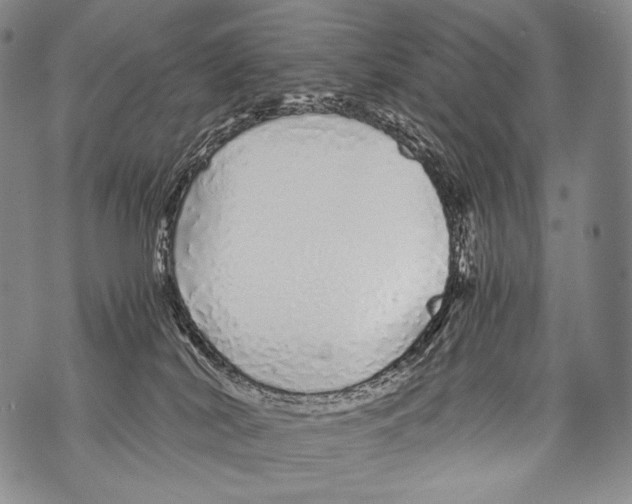 X0000071840038200607290118