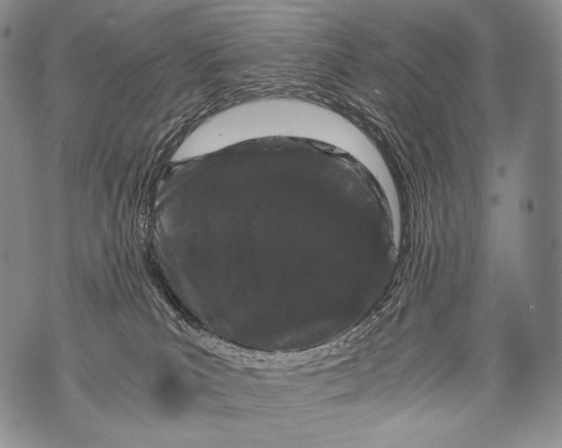 X0000071840039200607290118
