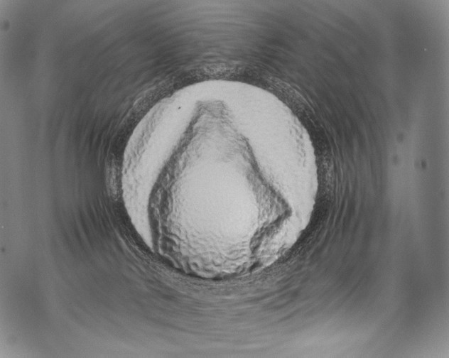 X0000071840042200607290118