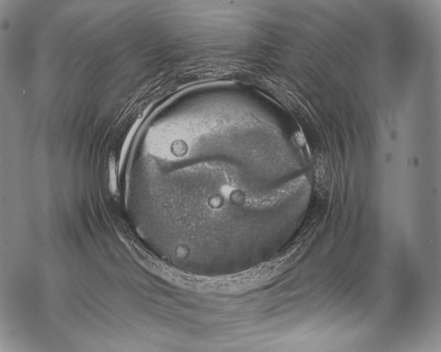 X0000071840046200607290118
