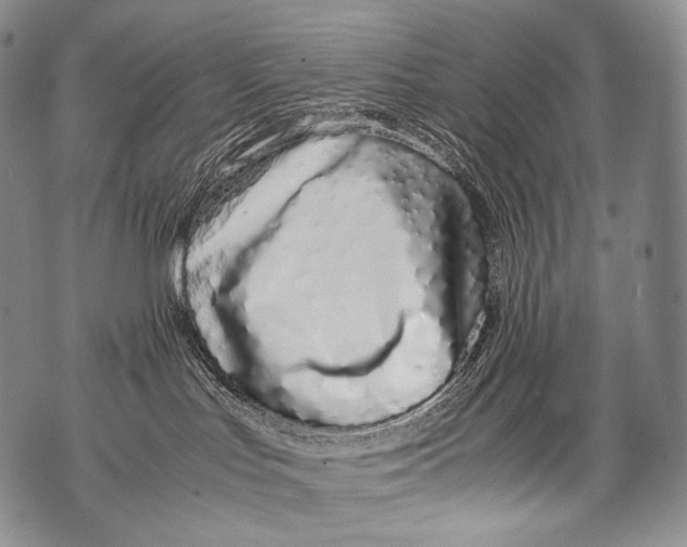 X0000071840047200607290118