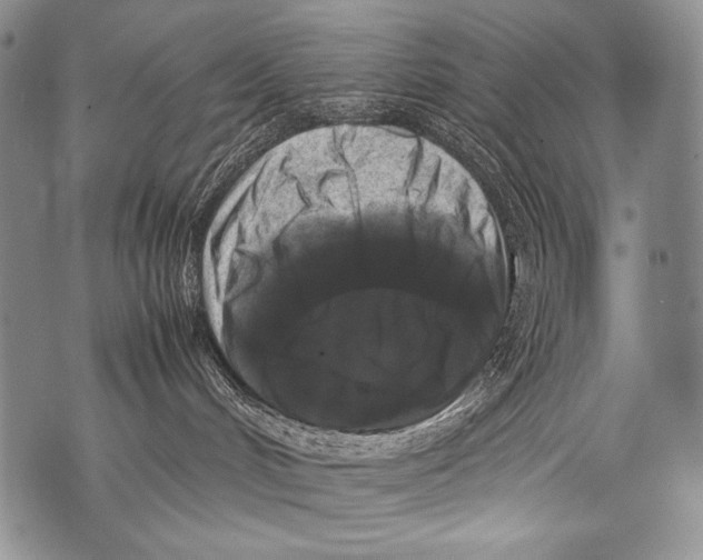 X0000071840048200607290118