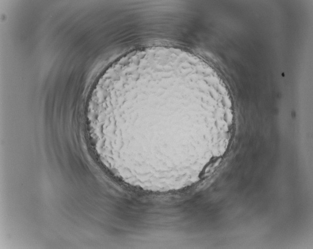 X0000071840049200607290117