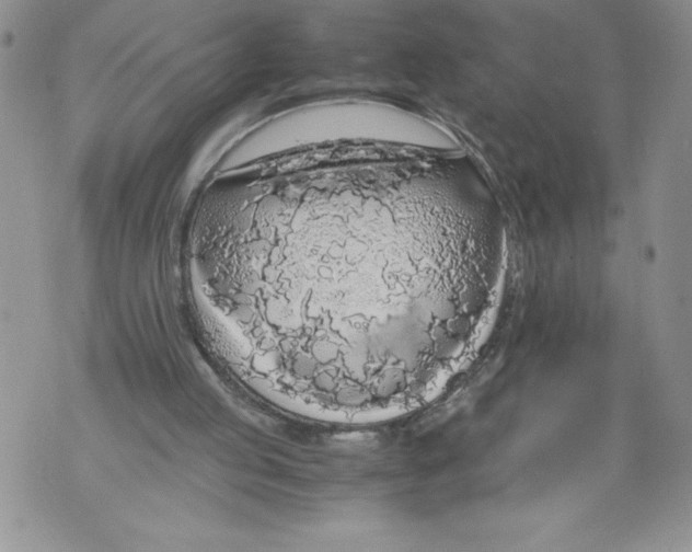 X0000071840053200607290118