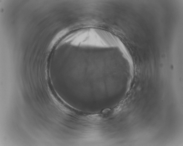 X0000071840054200607290118