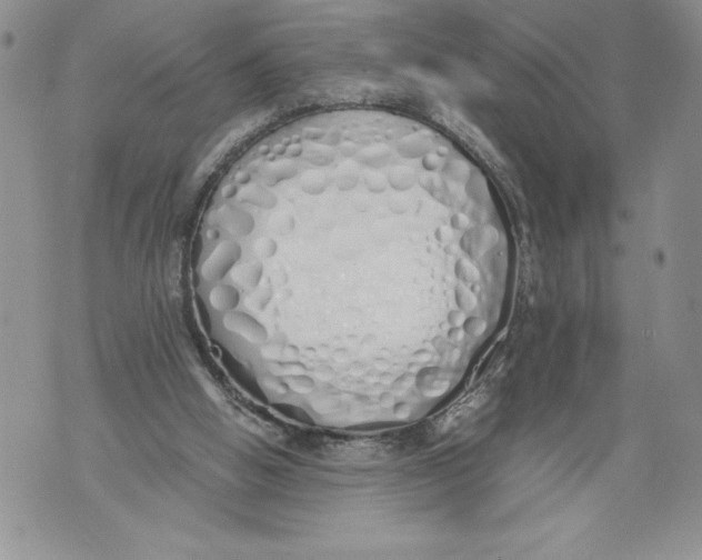X0000071840058200607290118