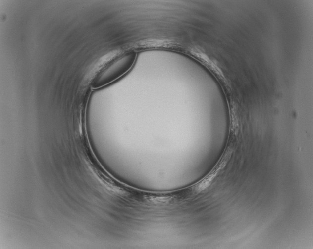 X0000071840062200607290118