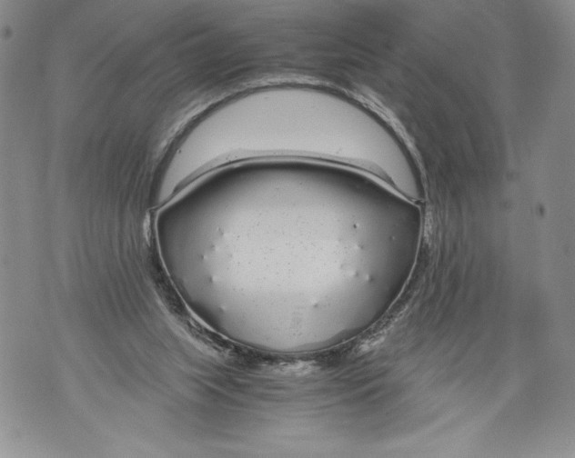 X0000071840063200607290118