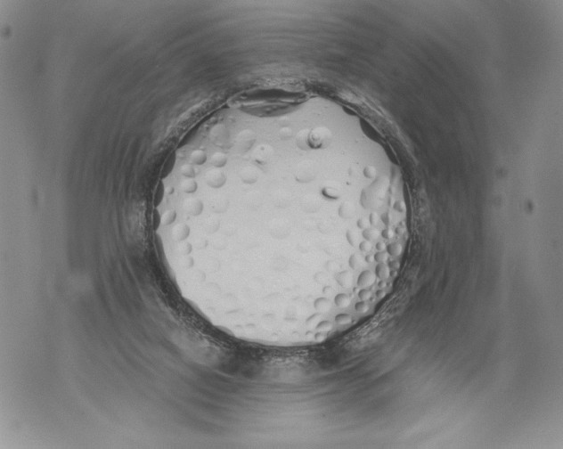 X0000071840066200607290118