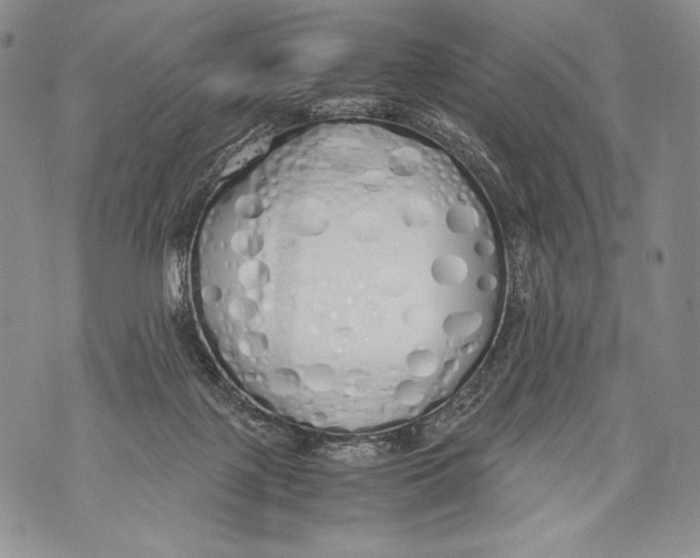 X0000071840075200607290118