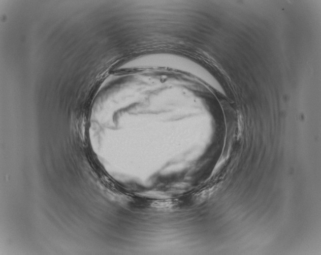 X0000071840076200607290118