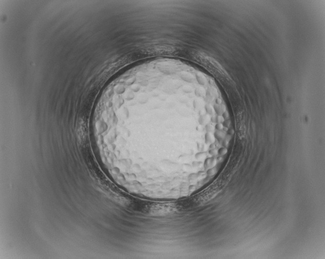 X0000071840077200607290118