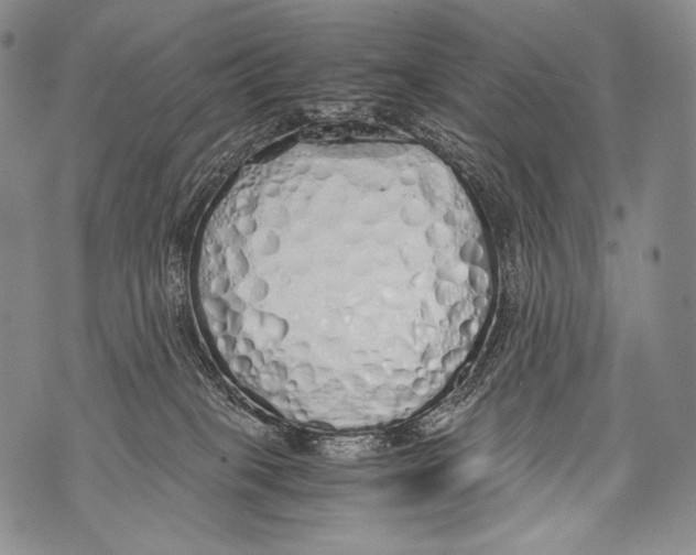 X0000071840085200607290118